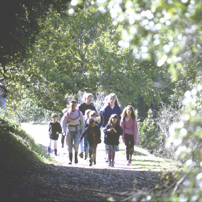 Children taking a nature walk through a local park where trees shade their path